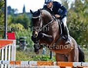 Gozzini Canturano GioCav2013 S5 3231 : Campionati Italiani Giovani Cavalli, Canturano, Cattolica, Gozzini Cristian, ph Stefano Secchi ©