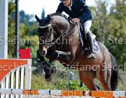 Gozzini Canturano GioCav2013 S5 3232 : Campionati Italiani Giovani Cavalli, Canturano, Cattolica, Gozzini Cristian, ph Stefano Secchi ©