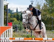 Granese Alvin GioCav2013 S5 3087 : Alvin del Buttasella, Campionati Italiani Giovani Cavalli, Cattolica, Granese Annibale, ph Stefano Secchi ©