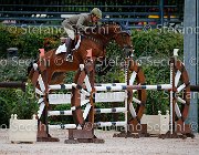 Guarducci Pintadera GioCav2013 S5 0992 : Campionati Italiani Giovani Cavalli, Cattolica, Guarducci Francesco, Pintadera, ph Stefano Secchi ©