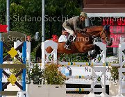 Guarducci Pintadera GioCav2013 S5 3826 : Campionati Italiani Giovani Cavalli, Cattolica, Guarducci Francesco, Pintadera, ph Stefano Secchi ©
