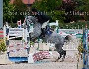 Guidetti Omnia GioCav2013 S5 0976 : Campionati Italiani Giovani Cavalli, Cattolica, Guidetti Moreno, Omnia, ph Stefano Secchi ©