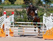 Lucchetti Benji GioCav2013 S5 1805 : Benji, Campionati Italiani Giovani Cavalli, Cattolica, Lucchetti Giovanni, ph Stefano Secchi ©