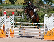 Lucchetti Benji GioCav2013 S5 1806 : Benji, Campionati Italiani Giovani Cavalli, Cattolica, Lucchetti Giovanni, ph Stefano Secchi ©