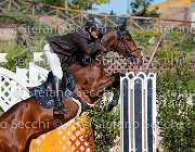 Lucchetti Benji GioCav2013 S5 1809 : Benji, Campionati Italiani Giovani Cavalli, Cattolica, Lucchetti Giovanni, ph Stefano Secchi ©