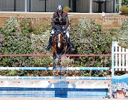 Lucchetti Benji GioCav2013 S5 1817 : Benji, Campionati Italiani Giovani Cavalli, Cattolica, Lucchetti Giovanni, ph Stefano Secchi ©