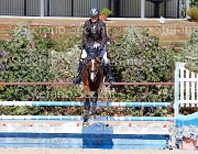 Lucchetti Benji GioCav2013 S5 1818 : Benji, Campionati Italiani Giovani Cavalli, Cattolica, Lucchetti Giovanni, ph Stefano Secchi ©