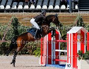 Lucchetti Benji GioCav2013 S5 1823 : Benji, Campionati Italiani Giovani Cavalli, Cattolica, Lucchetti Giovanni, ph Stefano Secchi ©