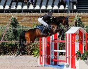 Lucchetti Benji GioCav2013 S5 1824 : Benji, Campionati Italiani Giovani Cavalli, Cattolica, Lucchetti Giovanni, ph Stefano Secchi ©