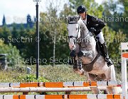 Magaton Adarticone GioCav2013 S5 3221 : Adarticone, Campionati Italiani Giovani Cavalli, Cattolica, Magaton Giovanni, ph Stefano Secchi ©