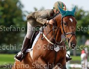 Malagigi Protagonista GioCav2013 S5 3793 : Campionati Italiani Giovani Cavalli, Cattolica, Malagigi Tiziana, Protagonista, ph Stefano Secchi ©