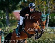 Marchese Chidamina GioCav2013 S5 1465 : Campionati Italiani Giovani Cavalli, Cattolica, Chidamina, Marchese Carlalberto, ph Stefano Secchi ©