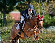 Marchi India GioCav2013 S5 1512 : Campionati Italiani Giovani Cavalli, Cattolica, India, Marchi Francesca, ph Stefano Secchi ©
