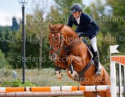 Martinengo Sunic GioCav2013 S5 3058 : Campionati Italiani Giovani Cavalli, Cattolica, Martinengo Riccardo, Sunic, ph Stefano Secchi ©