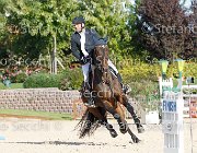 MASCENTI Simar GioCav2013 S6 7749 : Campionati Italiani Giovani Cavalli, Cattolica, MASCENTI Bryan, Simar, ph Stefano Secchi ©