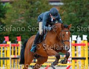 Mencarelli Vanesia GioCav2013 S5 2194 : Campionati Italiani Giovani Cavalli, Cattolica, Mencarelli Luca, Vanesia delle Sementarecce, ph Stefano Secchi ©