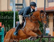 Mencarelli Vanesia GioCav2013 S5 4387 : Campionati Italiani Giovani Cavalli, Cattolica, Mencarelli Luca, Vanesia delle Sementarecce, ph Stefano Secchi ©