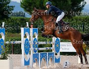 Messersi Dulcinea GioCav2013 S5 3931 : Dulcinea, Horses, Messersi Andrea, ph Stefano Secchi ©