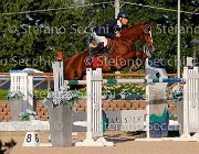 Messersi Laerte GioCav2013 S5 3476 : Campionati Italiani Giovani Cavalli, Cattolica, Laerte del ma, Messersi Andrea, ph Stefano Secchi ©