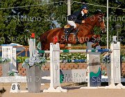 Messersi Laerte GioCav2013 S5 3477 : Campionati Italiani Giovani Cavalli, Cattolica, Laerte del ma, Messersi Andrea, ph Stefano Secchi ©