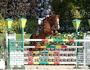 Messersi Laerte GioCav2013 S6 7615 : Campionati Italiani Giovani Cavalli, Cattolica, Laerte del ma, Messersi Andrea, ph Stefano Secchi ©