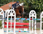Messersi Laerte GioCav2013 S6 7619 : Campionati Italiani Giovani Cavalli, Cattolica, Laerte del ma, Messersi Andrea, ph Stefano Secchi ©