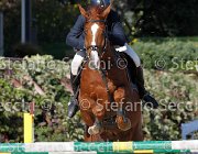 Messersi Laerte GioCav2013 S6 7621 : Campionati Italiani Giovani Cavalli, Cattolica, Laerte del ma, Messersi Andrea, ph Stefano Secchi ©