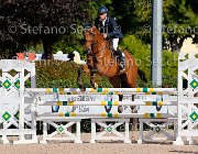 Messersi Paprika GioCav2013 S5 1352 : Campionati Italiani Giovani Cavalli, Cattolica, Messersi Andrea, Paprika, ph Stefano Secchi ©