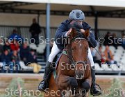 Metrangolo Camelot GioCav2013 S5 2765 : Camelot, Campionati Italiani Giovani Cavalli, Cattolica, Metrangolo Ettore, ph Stefano Secchi ©