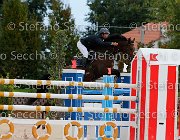 Metrangolo Camelot GioCav2013 S5 2880 : Camelot, Campionati Italiani Giovani Cavalli, Cattolica, Metrangolo Ettore, ph Stefano Secchi ©