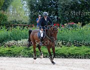 Metrangolo Camelot GioCav2013 S5 2889 : Camelot, Campionati Italiani Giovani Cavalli, Cattolica, Metrangolo Ettore, ph Stefano Secchi ©