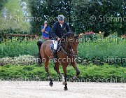 Metrangolo Camelot GioCav2013 S5 2890 : Camelot, Campionati Italiani Giovani Cavalli, Cattolica, Metrangolo Ettore, ph Stefano Secchi ©