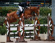 Milella Awinita GioCav2013 S5 1004 : Awinita, Campionati Italiani Giovani Cavalli, Cattolica, Milella Fabrizio, ph Stefano Secchi ©