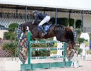 Minardi Primula GioCav2013 S5 2488 : Campionati Italiani Giovani Cavalli, Cattolica, Minardi Claudio, Primula di Santa Marta, ph Stefano Secchi ©