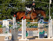 MOYERSON Ellyott GioCav2013 S5 3523 : Campionati Italiani Giovani Cavalli, Cattolica, Ellyott, MOYERSON Filippo, ph Stefano Secchi ©