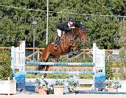 MOYERSON Ellyott GioCav2013 S6 7653 : Campionati Italiani Giovani Cavalli, Cattolica, Ellyott, MOYERSON Filippo, ph Stefano Secchi ©
