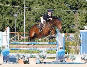 MOYERSON Ellyott GioCav2013 S6 7654 : Campionati Italiani Giovani Cavalli, Cattolica, Ellyott, MOYERSON Filippo, ph Stefano Secchi ©