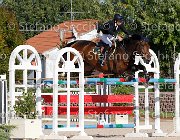 MOYERSON Ellyott GioCav2013 S6 7657 : Campionati Italiani Giovani Cavalli, Cattolica, Ellyott, MOYERSON Filippo, ph Stefano Secchi ©