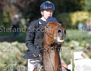 MOYERSON Ellyott GioCav2013 S6 7661 : Campionati Italiani Giovani Cavalli, Cattolica, Ellyott, MOYERSON Filippo, ph Stefano Secchi ©