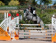 Murruzzu Brian GioCav2013 S5 1647 : Brian, Campionati Italiani Giovani Cavalli, Cattolica, Murruzzu Gianleonardo, ph Stefano Secchi ©