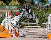 Murruzzu Brian GioCav2013 S5 1648 : Brian, Campionati Italiani Giovani Cavalli, Cattolica, Murruzzu Gianleonardo, ph Stefano Secchi ©