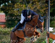 Niccolai Perla GioCav2013 S5 1519 : Campionati Italiani Giovani Cavalli, Cattolica, Niccolai Marco, Perla Lanuseina, ph Stefano Secchi ©