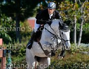 Ortisi Capiree GioCav2013 S5 1368 : Campionati Italiani Giovani Cavalli, Capiree, Cattolica, Ortisi Marcello, ph Stefano Secchi ©