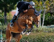 Ossa Unforgettable GioCav2013 S5 1279 : Campionati Italiani Giovani Cavalli, Cattolica, Ossa Mariano, Unforgettable, ph Stefano Secchi ©