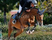 Ossa Unforgettable GioCav2013 S5 1280 : Campionati Italiani Giovani Cavalli, Cattolica, Ossa Mariano, Unforgettable, ph Stefano Secchi ©