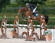 Ossa Unforgettable GioCav2013 S6 7862 : Horses, Ossa Mariano, Unforgettable, ph Stefano Secchi ©