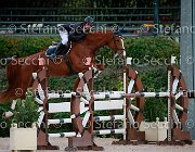 Paffetti Kashmire GioCav2013 S5 0959 : Campionati Italiani Giovani Cavalli, Cattolica, Kashmire, Paffetti Michele, ph Stefano Secchi ©
