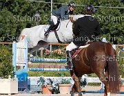 PALMIZI Corjulana GioCav2013 S6 7534 : Campionati Italiani Giovani Cavalli, Cattolica, Corjulana, PALMIZI Gianluca, ph Stefano Secchi ©