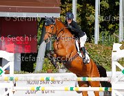 Patrese Diamante GioCav2013 S5 1610 : Campionati Italiani Giovani Cavalli, Cattolica, Diamante, Patrese Beatrice, ph Stefano Secchi ©