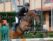 PRANDI Athena GioCav2013 S5 4291 : Athena Diemme, Campionati Italiani Giovani Cavalli, Cattolica, PRANDI Roberto, ph Stefano Secchi ©